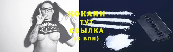 соль ск Алексеевка