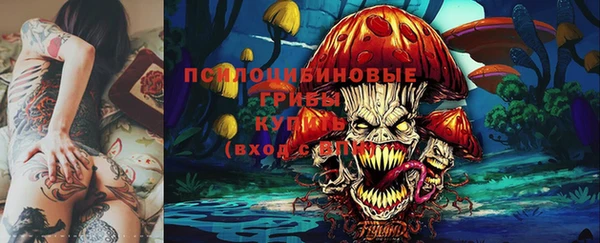 МДПВ Осташков