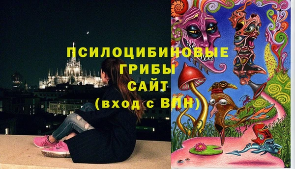 соль ск Алексеевка